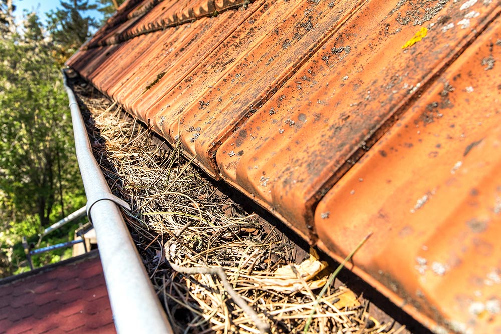 clogged roof gutters